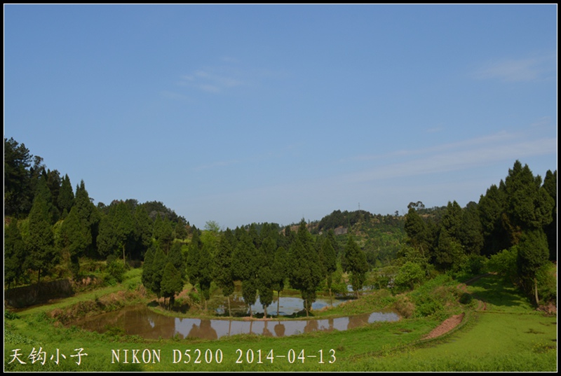DSC_1369.JPG