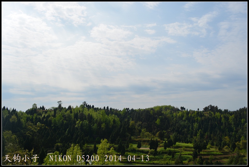 DSC_1376.JPG