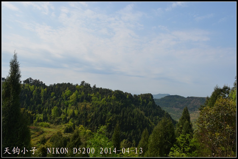 DSC_1379.JPG