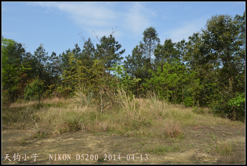 DSC_1399.JPG