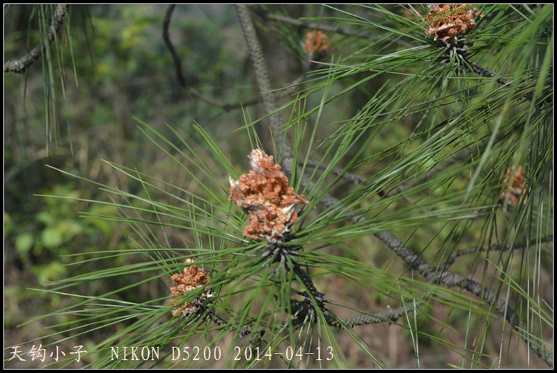 DSC_1414.JPG
