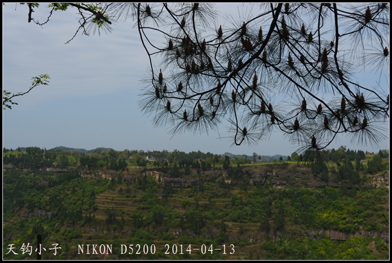 DSC_1442.JPG
