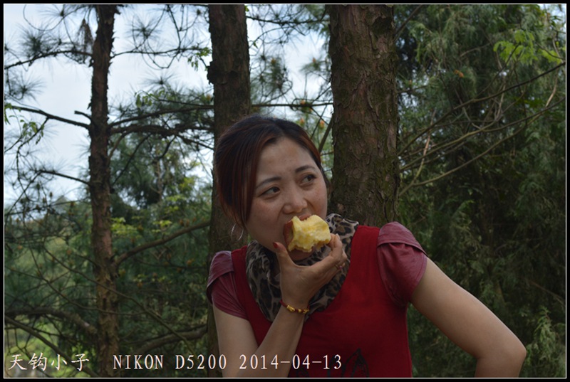 DSC_1614.JPG