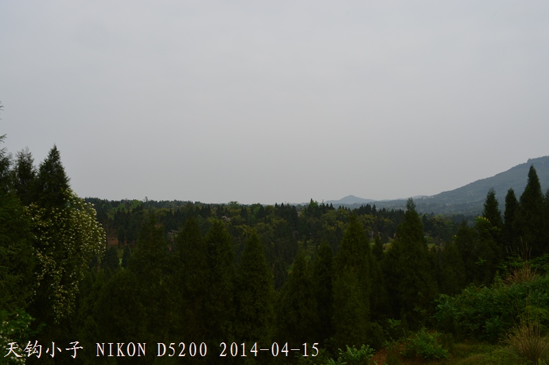 DSC_1240.JPG