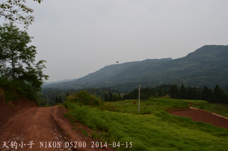 DSC_1256.JPG
