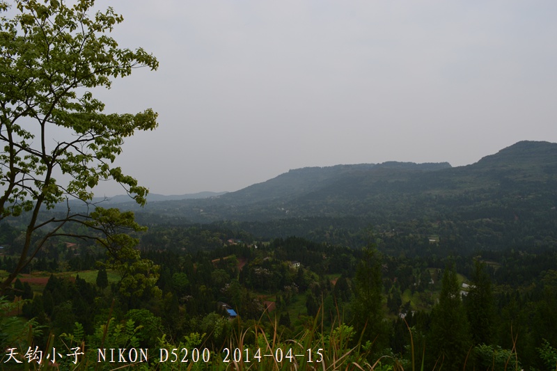 DSC_1290.JPG