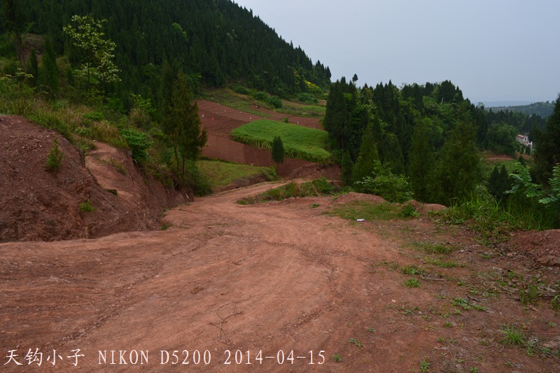 DSC_1292.JPG