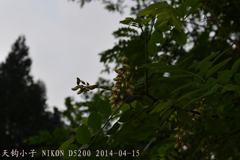 DSC_1304.JPG