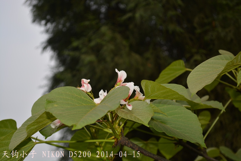 DSC_1340.JPG