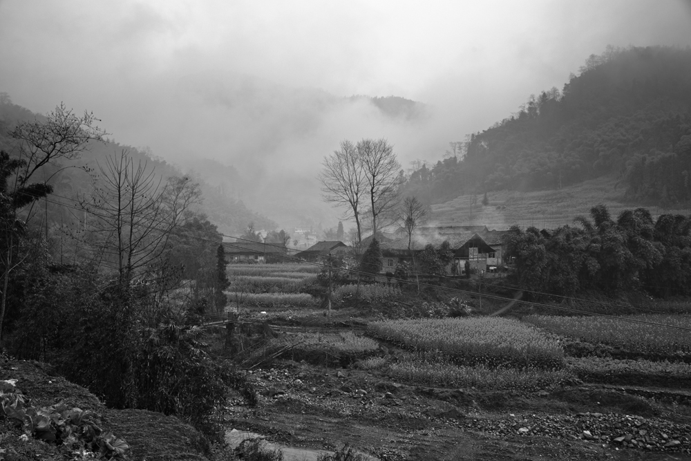 DSC_3617b.jpg
