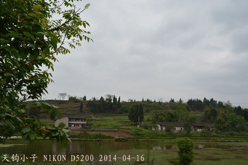 DSC_1282.JPG