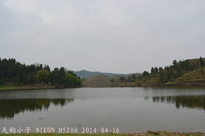DSC_1305.JPG