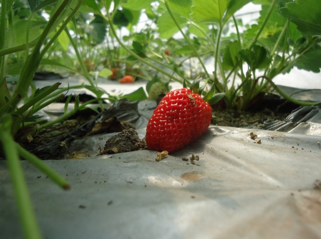 ڵժ.jpg