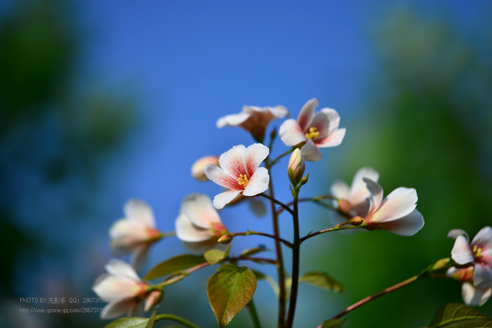 DSC_4009.jpg