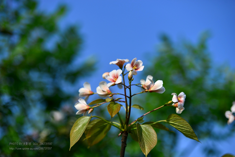 DSC_4008.jpg
