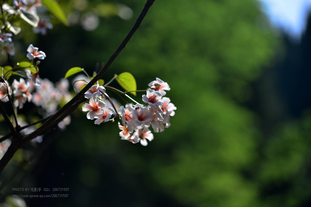 DSC_4074.jpg