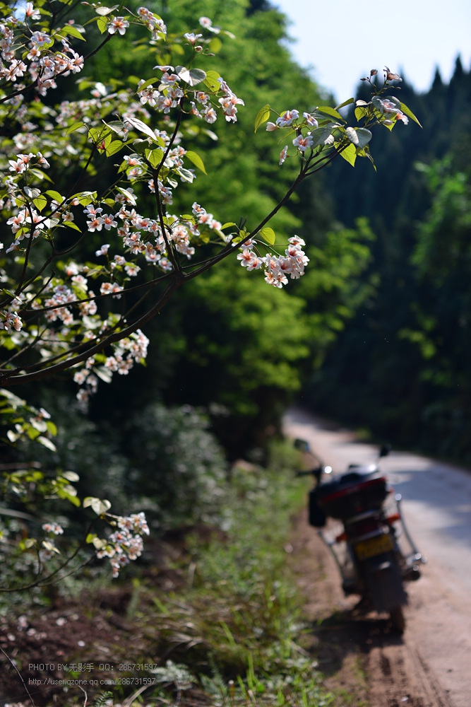 DSC_4079.jpg