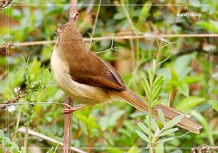 S98A3246_.jpg