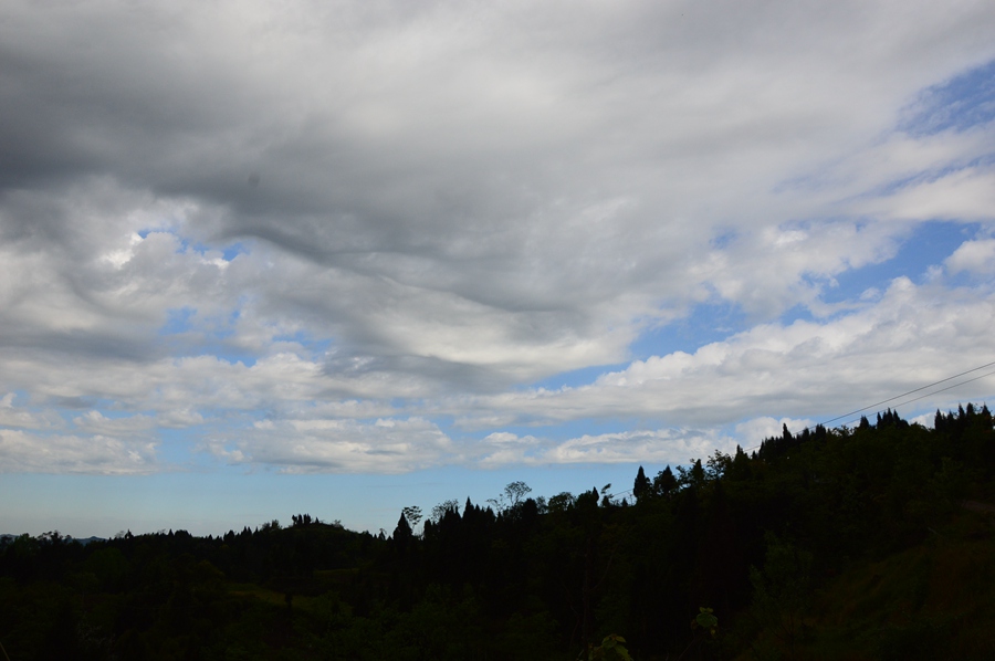 DSC_0041.jpg
