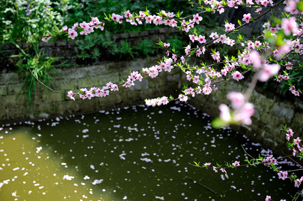 DSC_0087.JPG