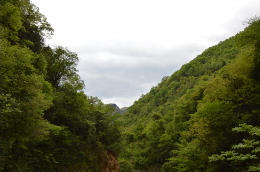 QQͼƬ20140419213242.jpg