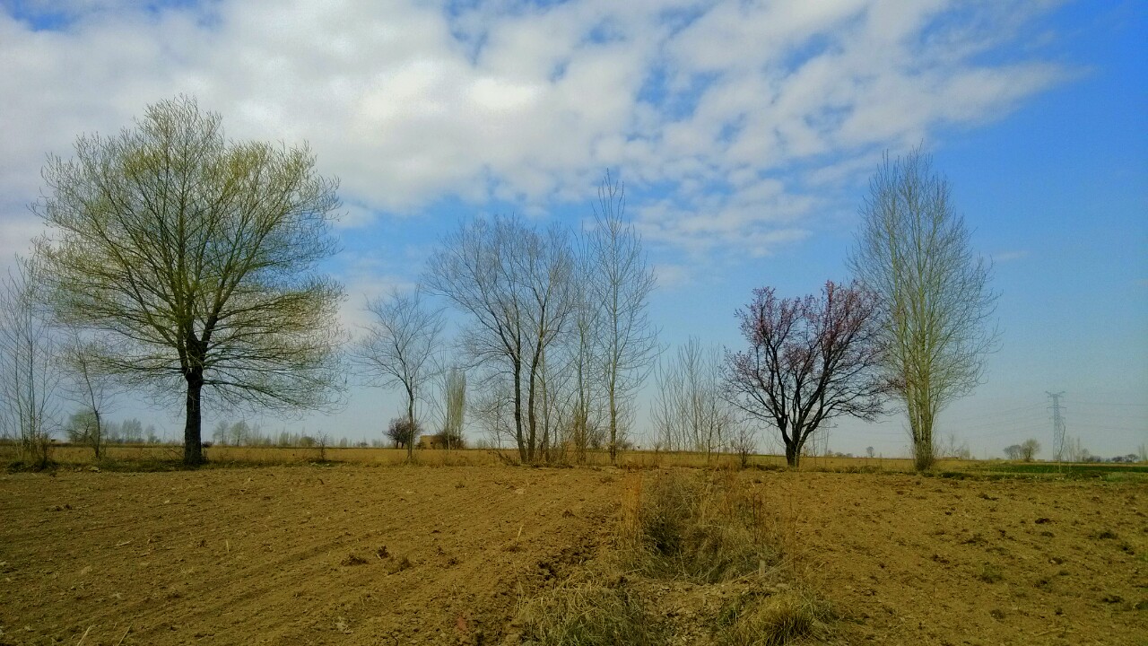 IMG_20140416_121903-1.jpg