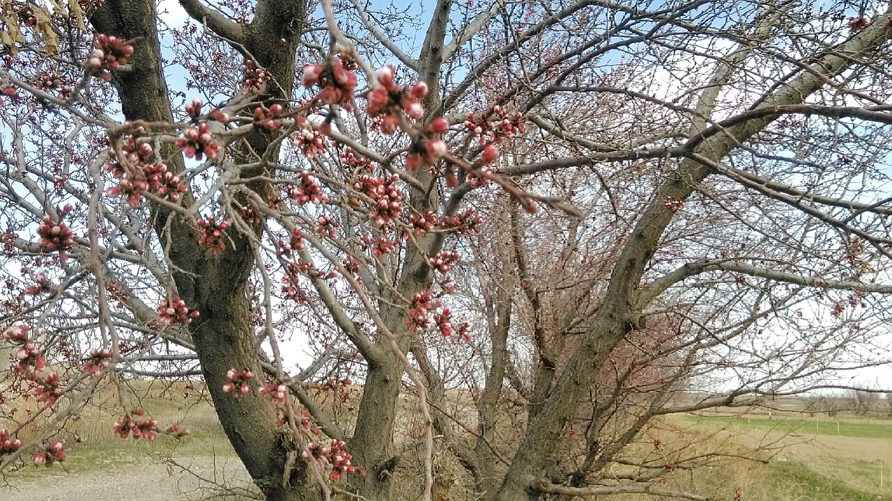 IMG_20140416_122938-1.jpg
