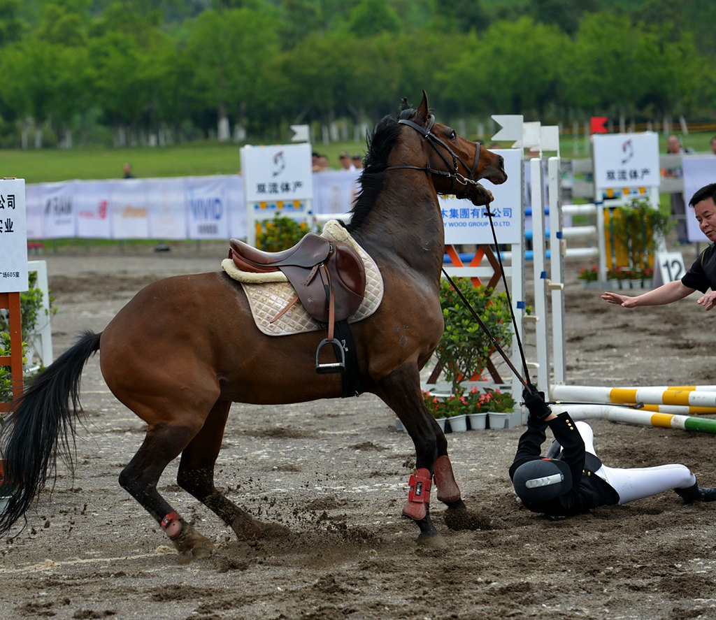 DSC_1322__dh.jpg