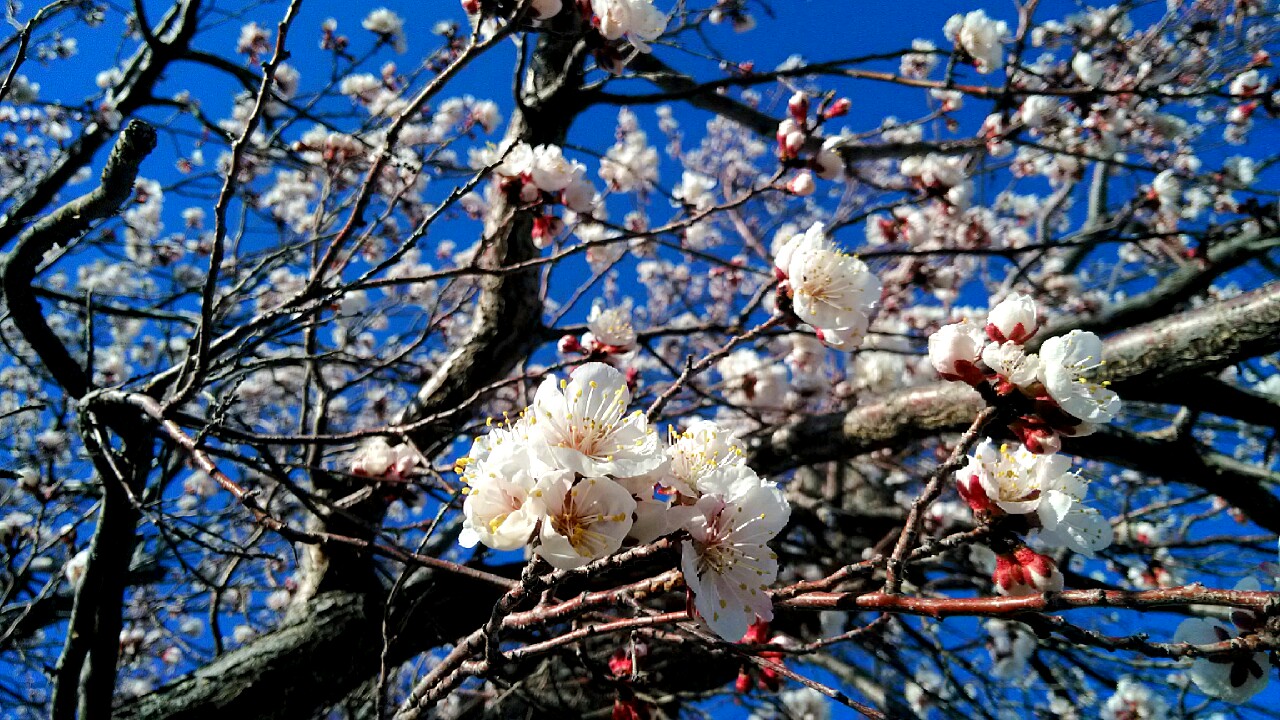 IMG_20140418_194649-1.jpg