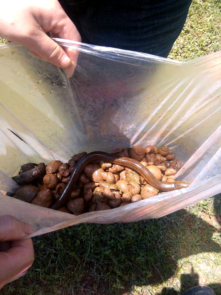 QQͼƬ20140421002518.jpg