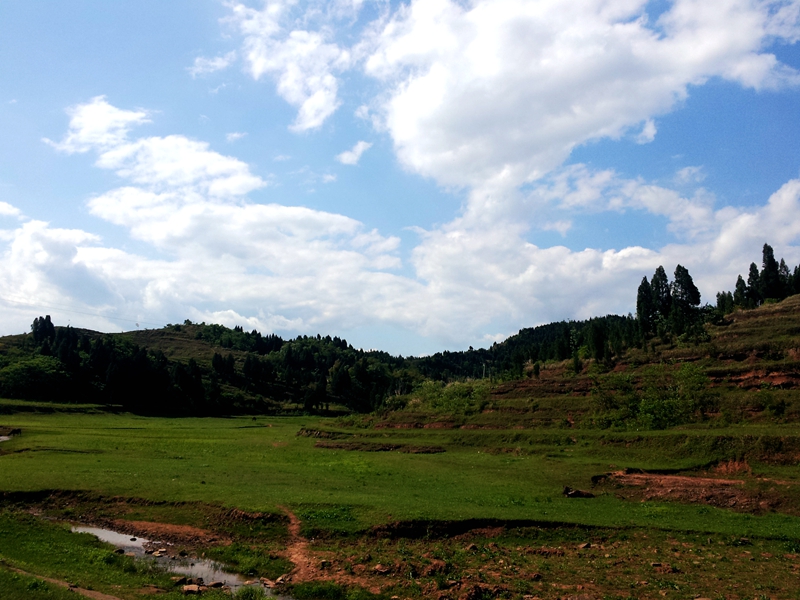 20140419_153207.jpg