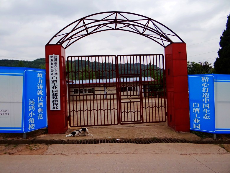 DSC06233_conew1.jpg