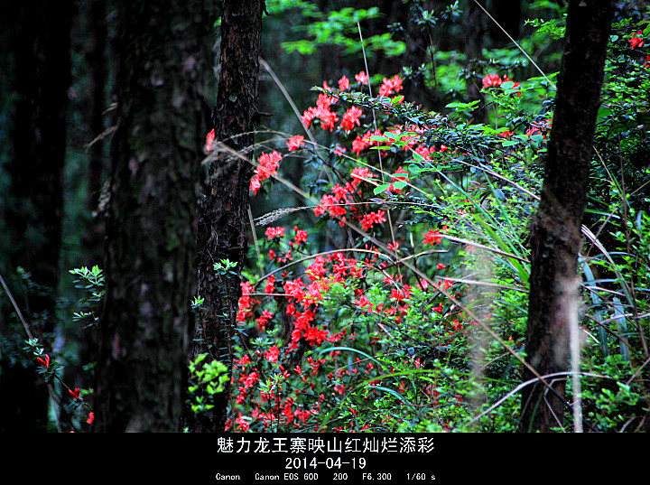 IMG_8532_.jpg
