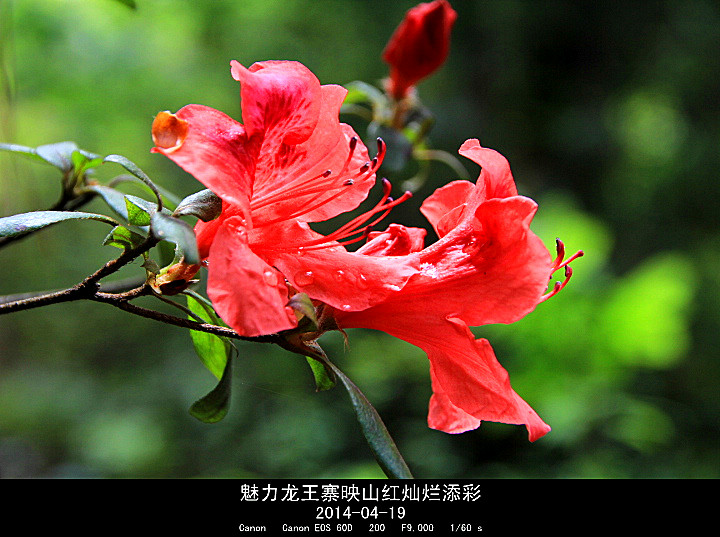 IMG_8560_.jpg