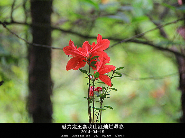 IMG_8567_.jpg
