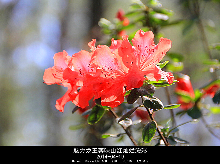 IMG_8587_.jpg
