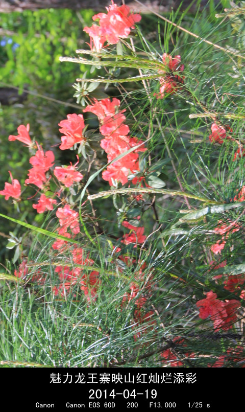 IMG_8809_.jpg