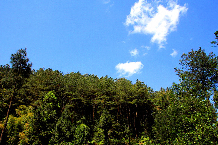 IMG_8818_.jpg