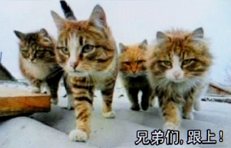 DSCF4997.JPG