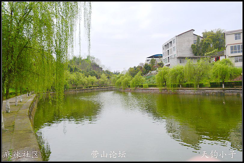 DSC_0878.JPG