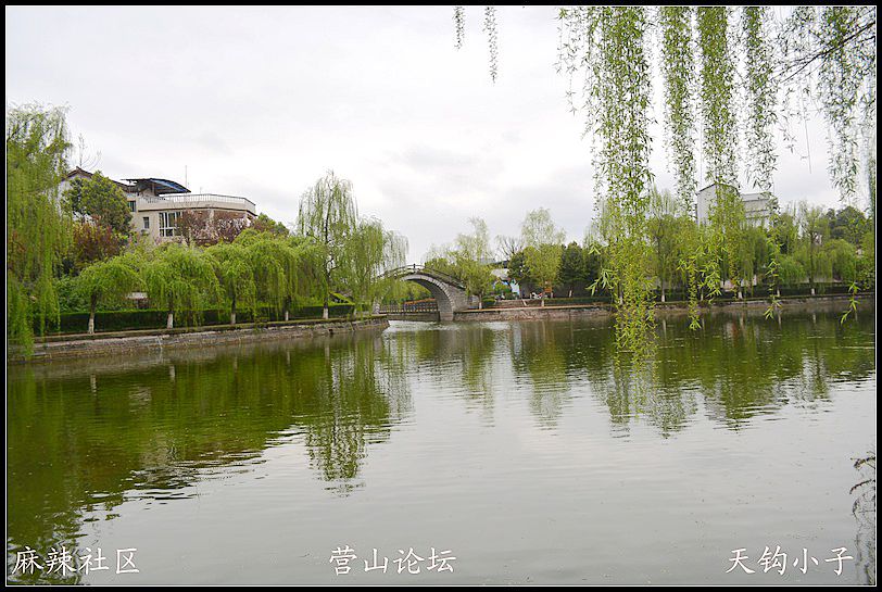 DSC_0884.JPG