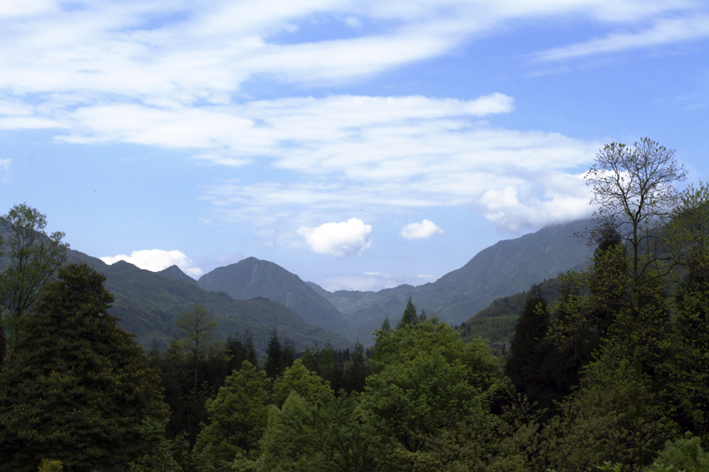 1-IMG_0029.jpg