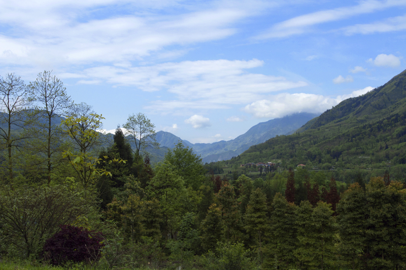 1-IMG_0039.jpg
