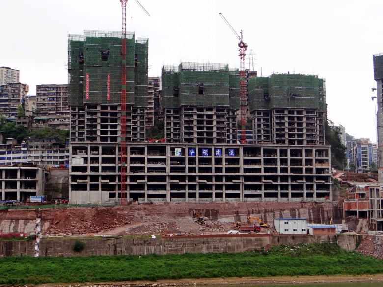 DSC06238_conew1.jpg