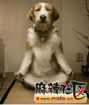 QQͼ20140425113115.png