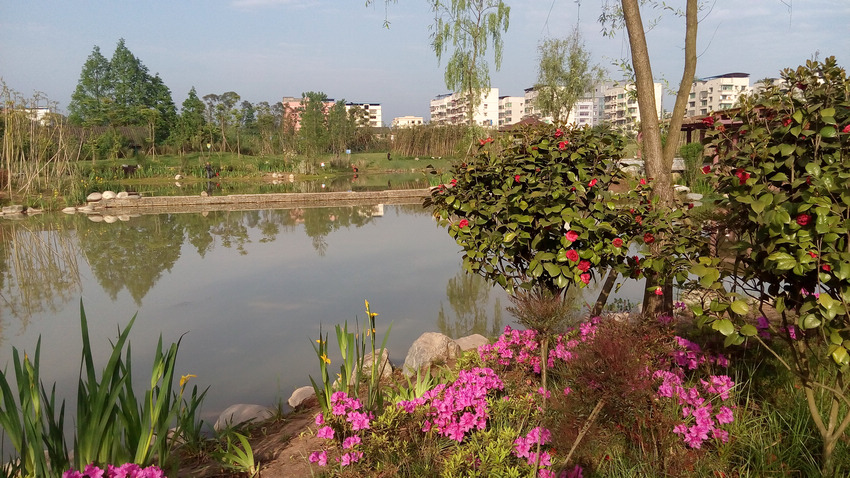 IMG_20140422_082055.jpg