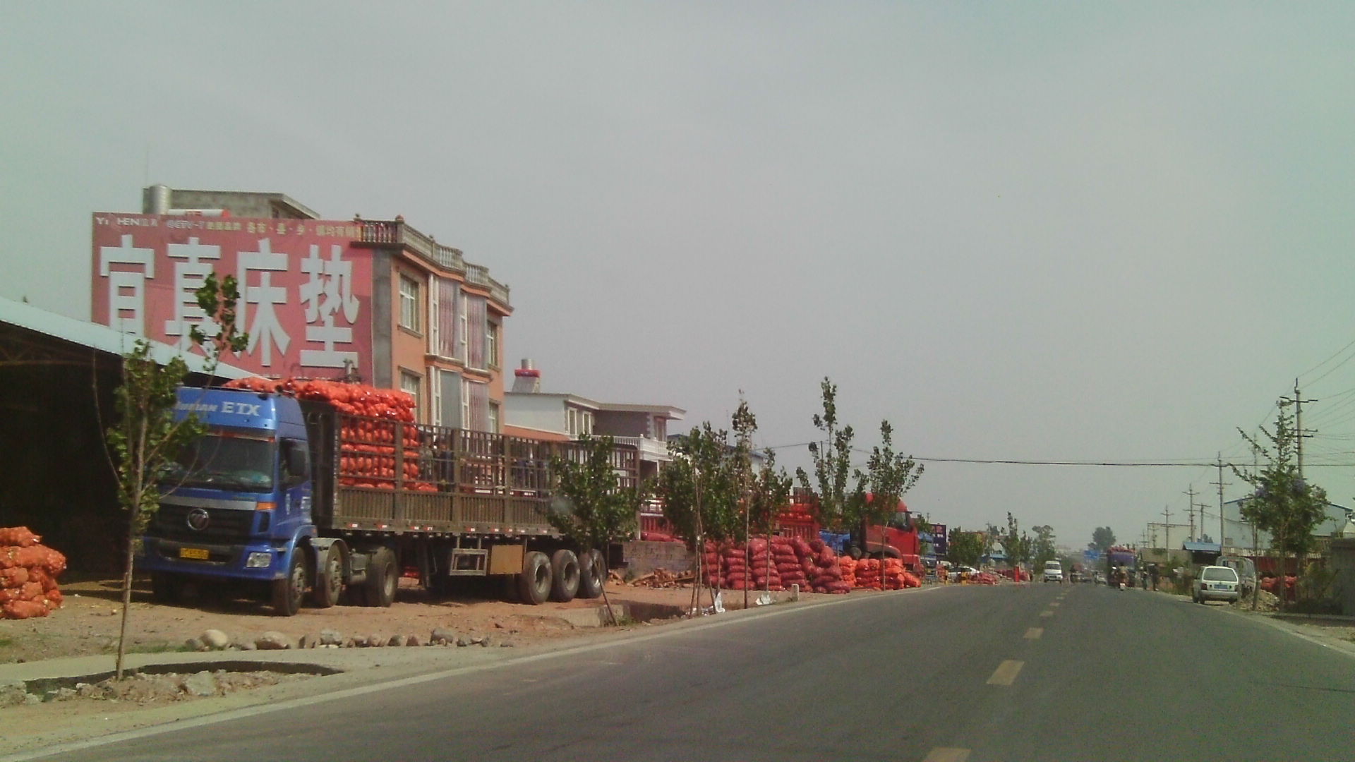 IMAG0007.JPG