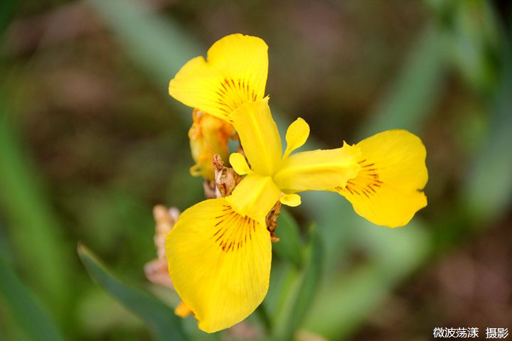 IMG_5629.JPG