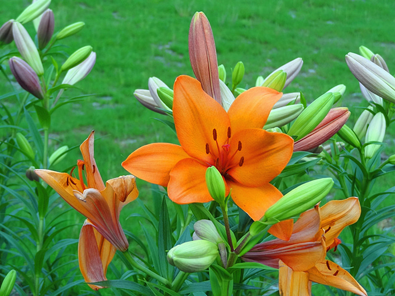 DSC07149_.jpg