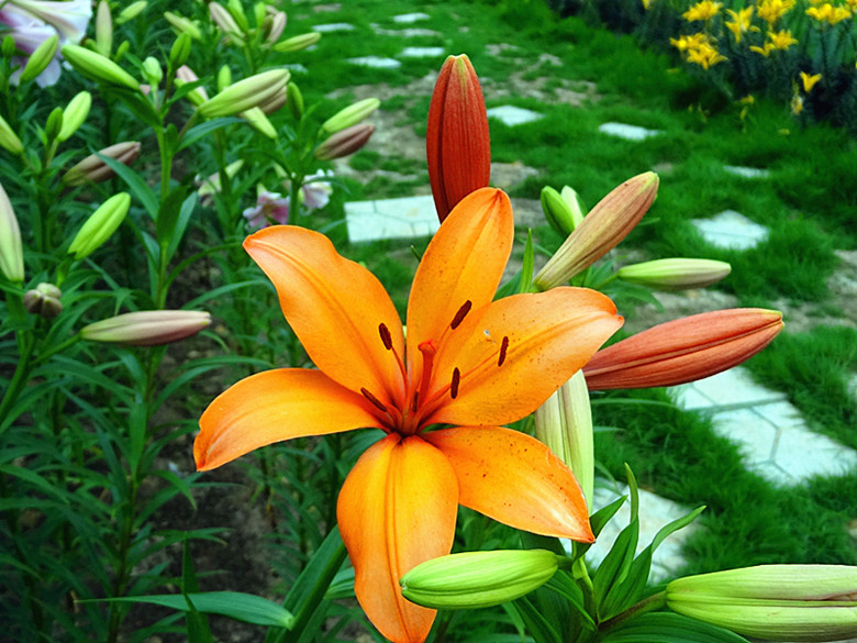DSC07172_.jpg